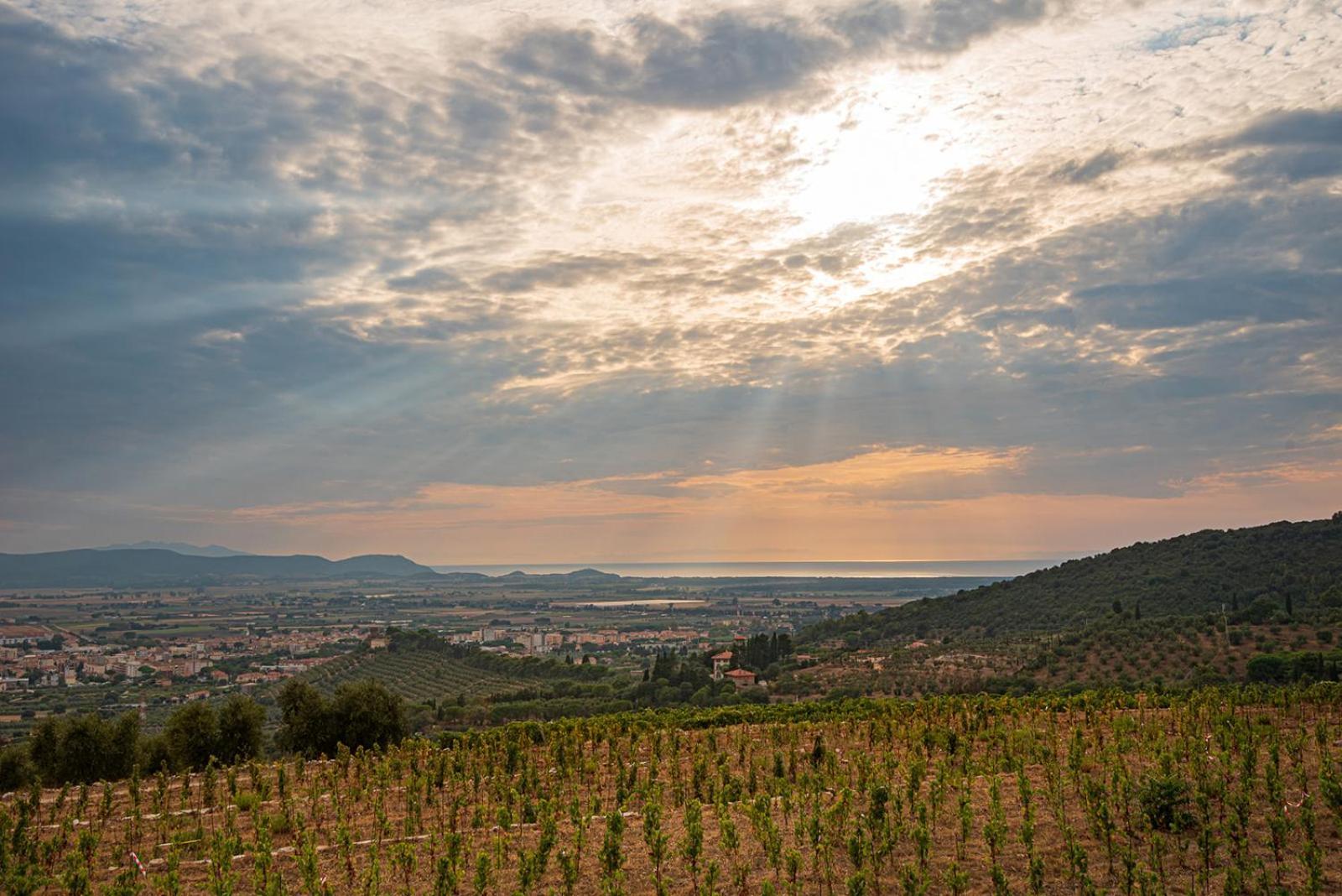 Castello Bonaria Wine & Spa Resort Campiglia Marittima Exterior photo